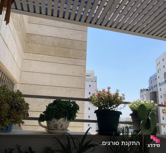 עציצים על מרפסת עם בניינים ברקע